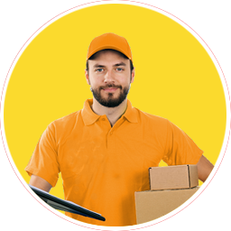 movers and packers