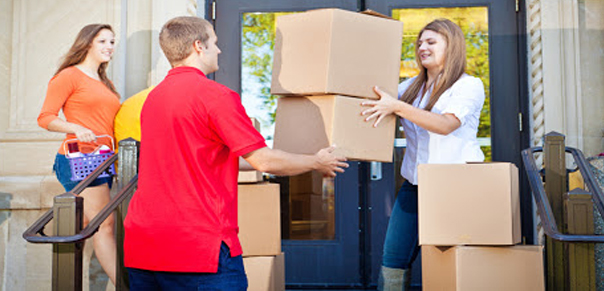 movers and packers